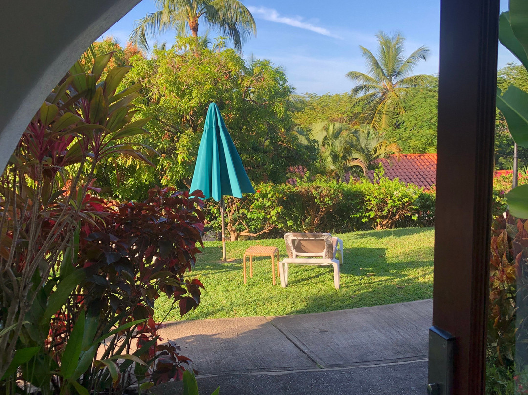 Sugar Cane Club Hotel & Spa主图