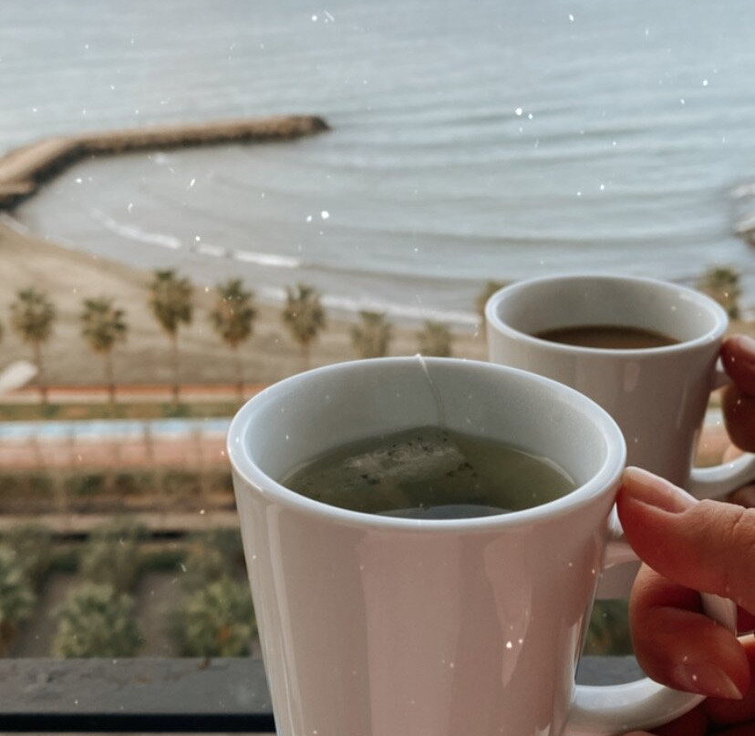 Ramada Plaza Hotel & Spa Trabzon主图