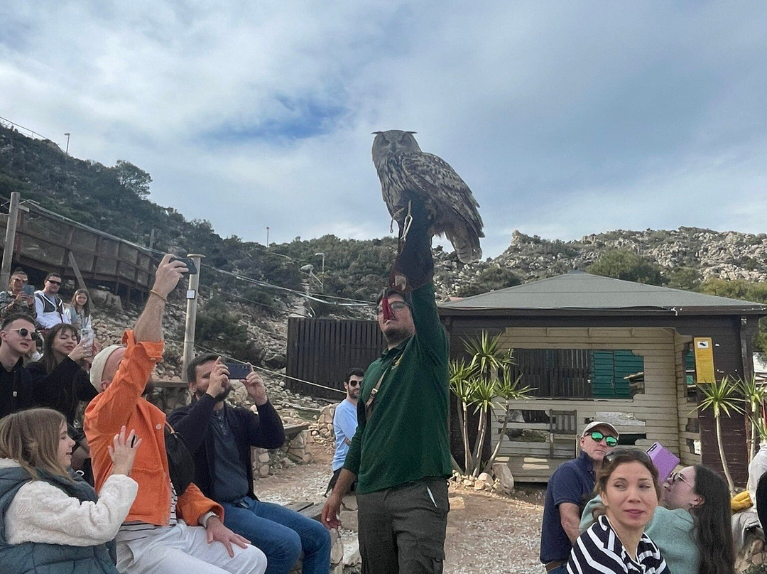 Garden of Eagles (Jardin de Las Aguilas)景点图片