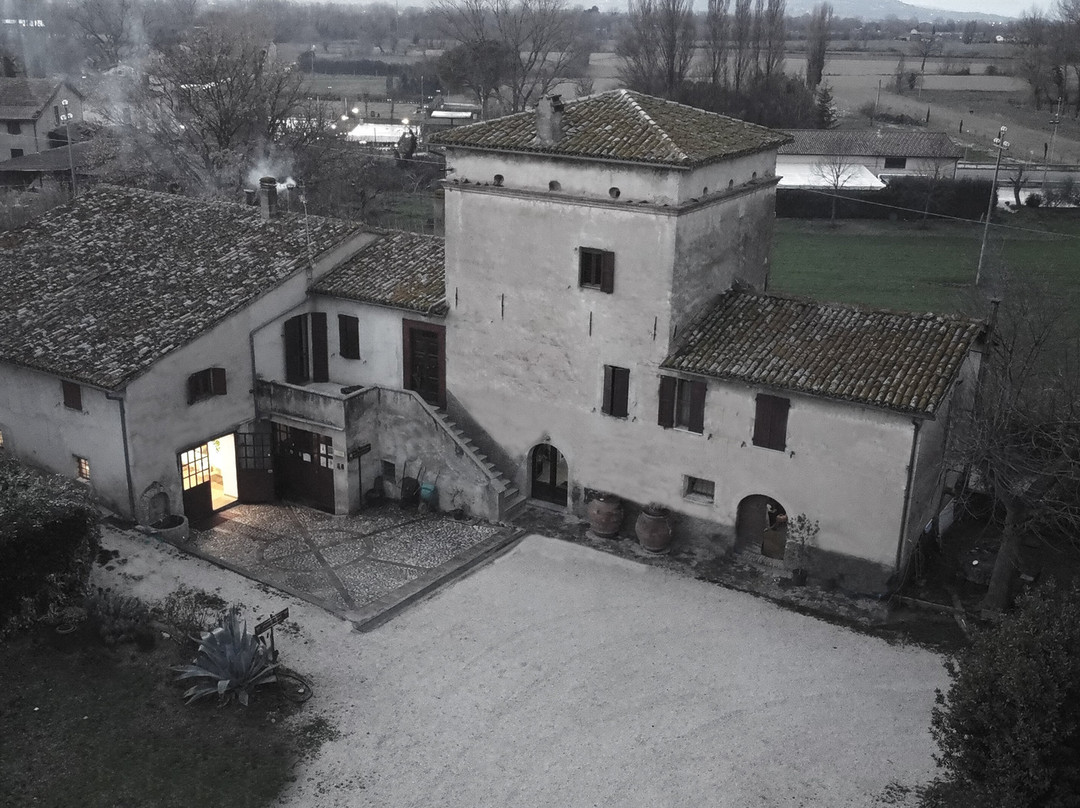 Antico Frantoio Carletti景点图片