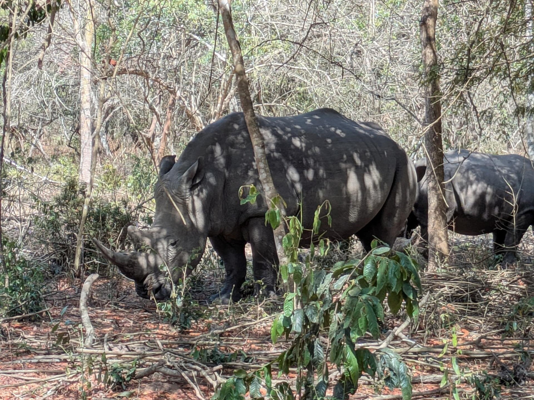 Simba Africa Expeditions Day Tours-坎帕拉必去景点