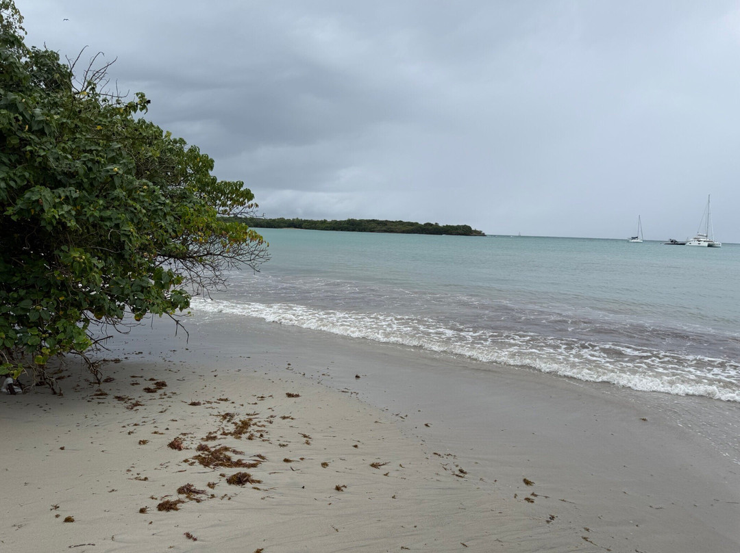 Anse Meunier-Sainte-Anne必去景点