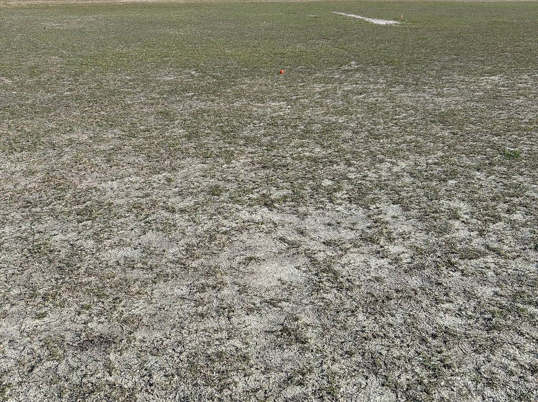 Plantation Preserve Golf Course-种植园必去景点