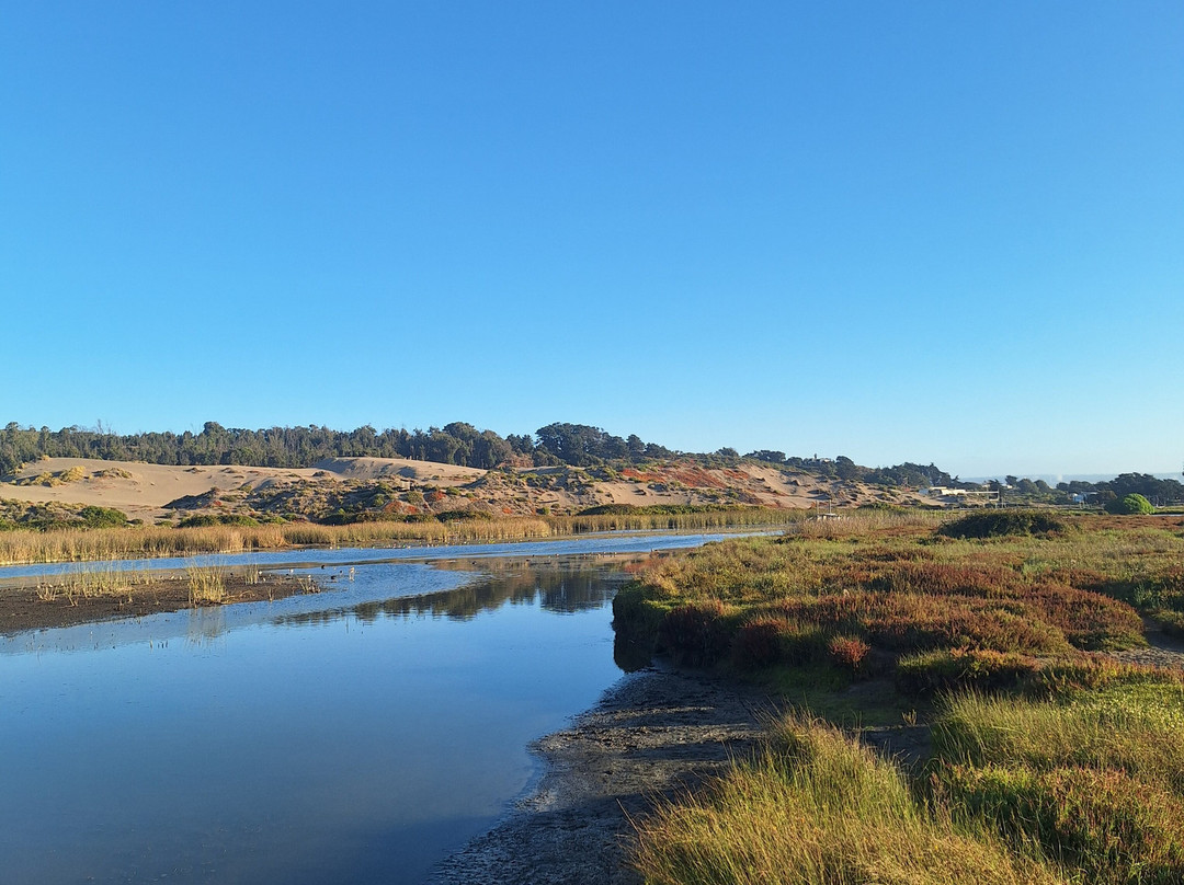 Humedal De Concon-Concon必去景点