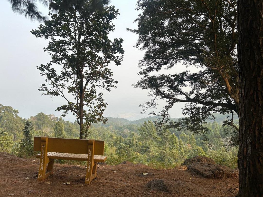 Koel View Point景点图片