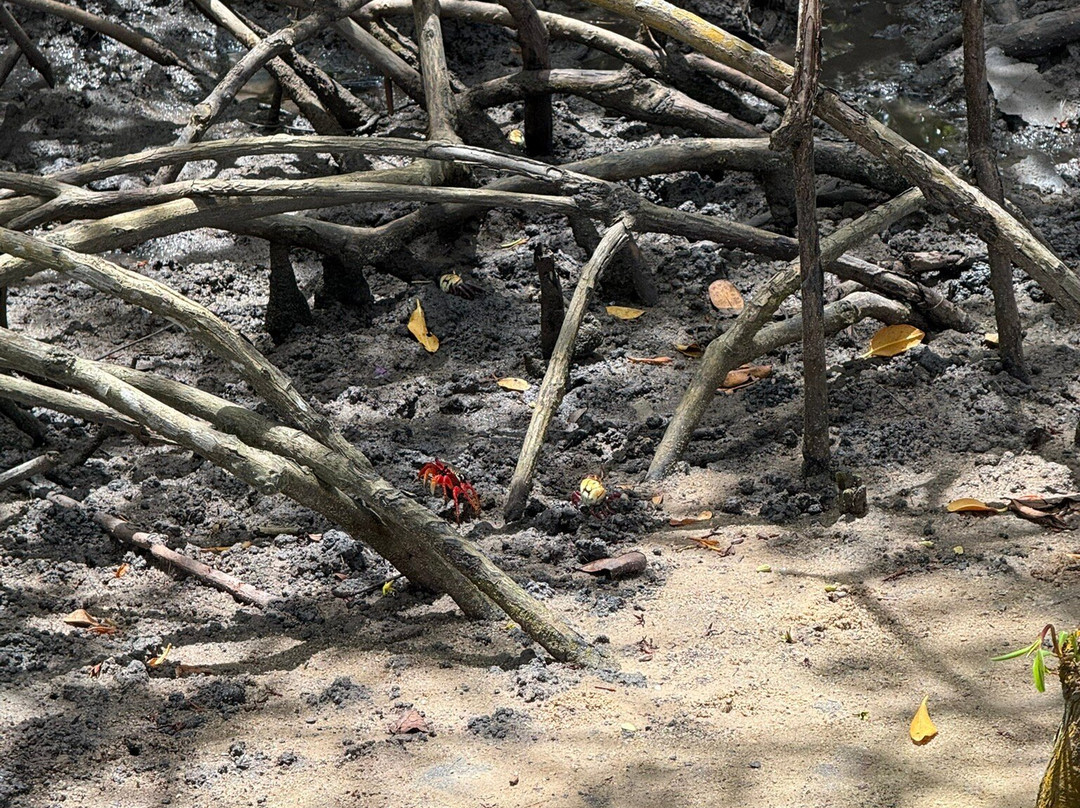 ALR Privativo-Porto Seguro必去景点