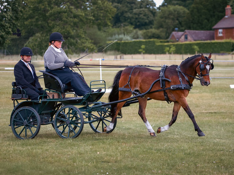 Sandringham Festival Of Carriage Driving 2025-Sandringham必去景点