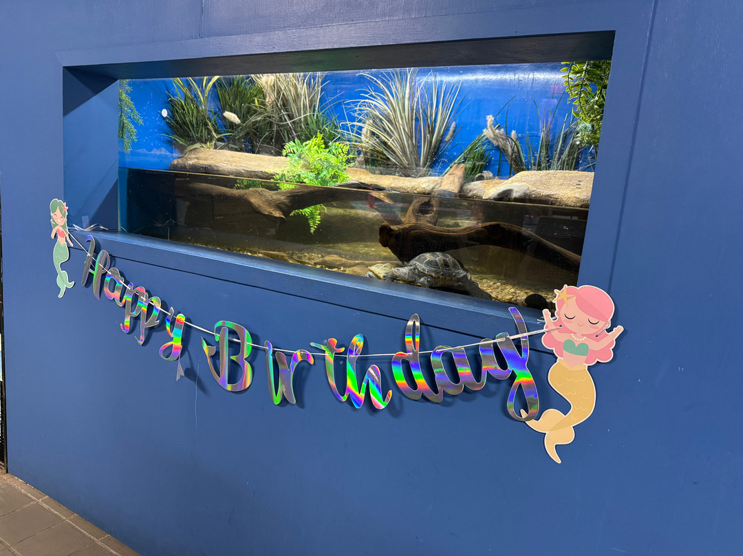 The Maritime Aquarium at Norwalk-诺沃克必去景点