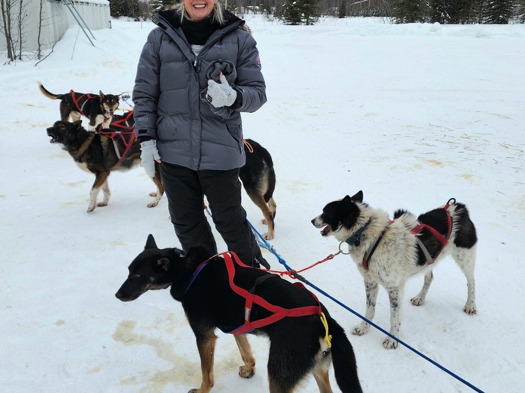 快捷假日费尔班克斯套房酒店主图