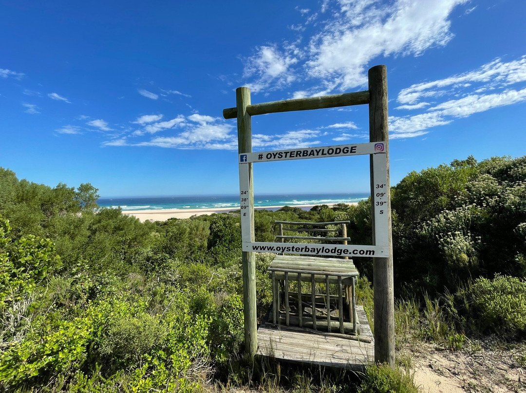 Oyster Bay Lodge主图