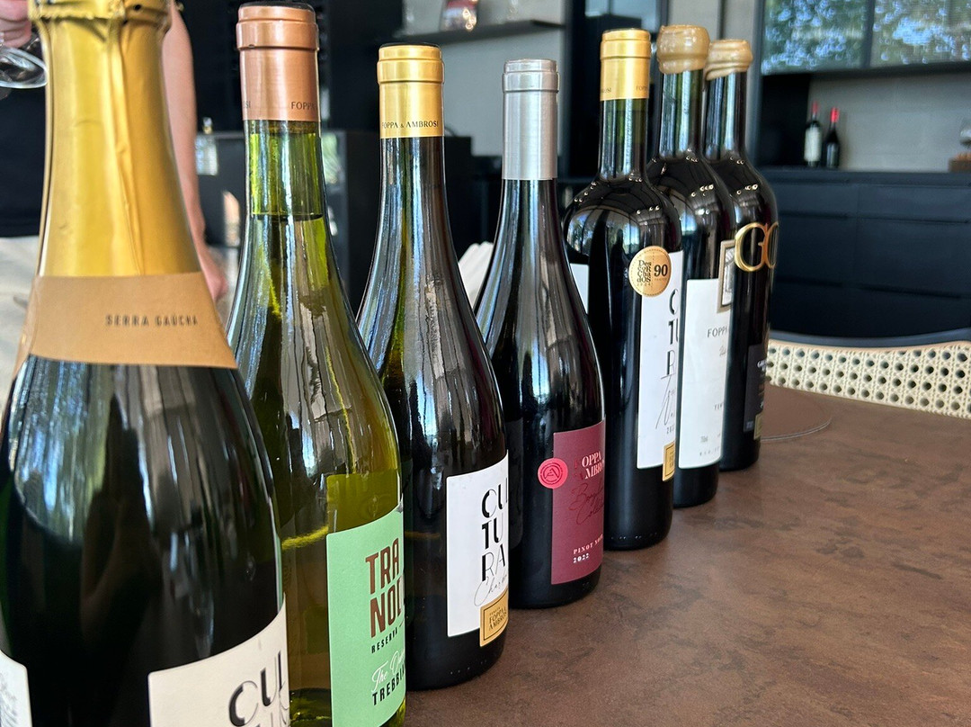 Vinícola Foppa & Ambrosi景点图片