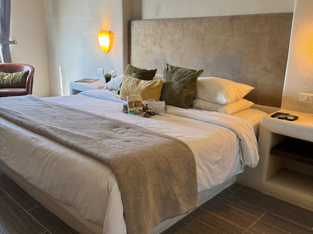 Hotel Hacienda 1800主图