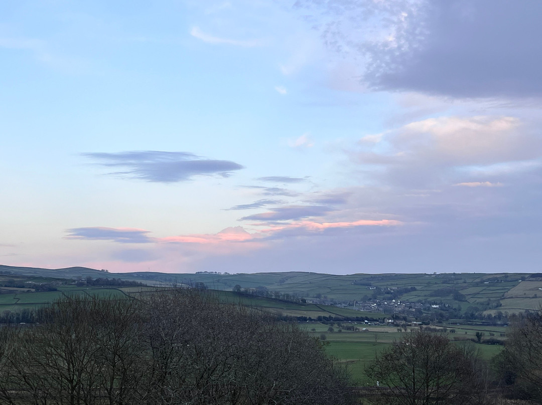 Throstle Nest Farm Bed and Breakfast主图