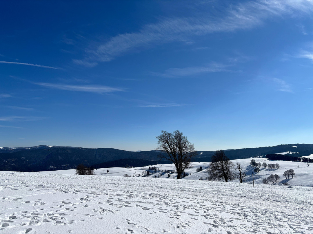 Berghaus Freiburg主图