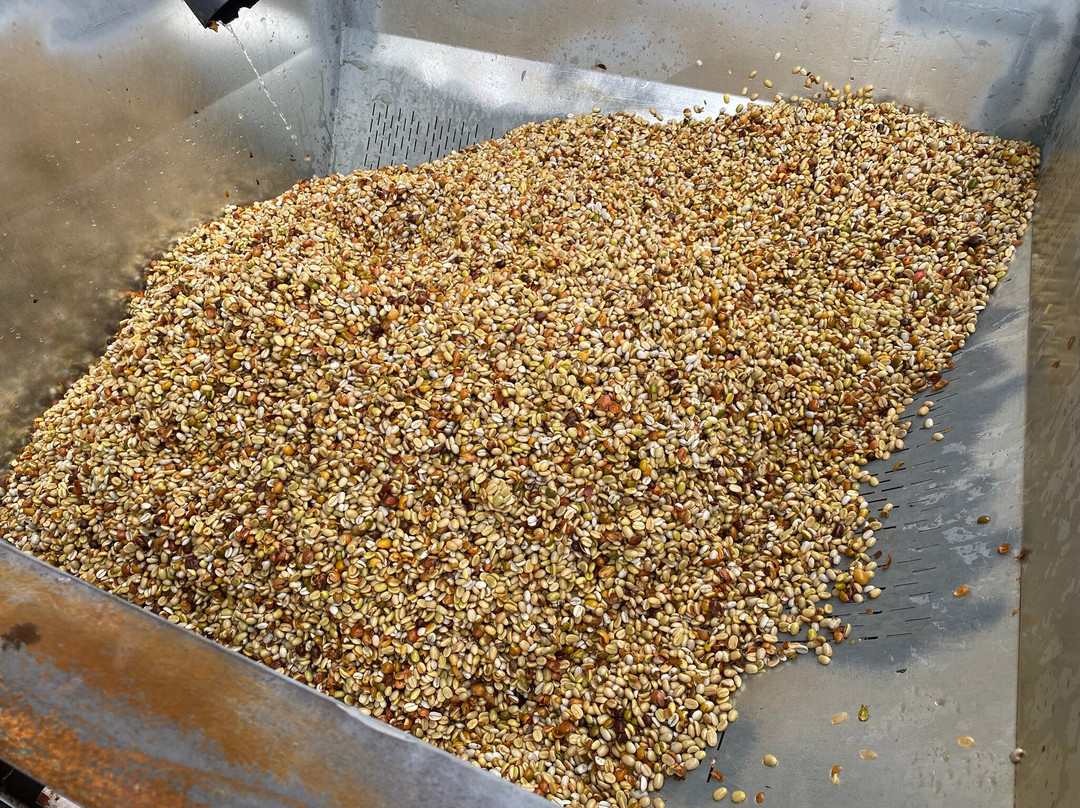 Ka'u Coffee Mill-帕哈拉必去景点