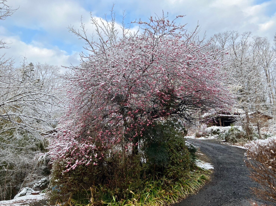 Yunosawa Kosen主图