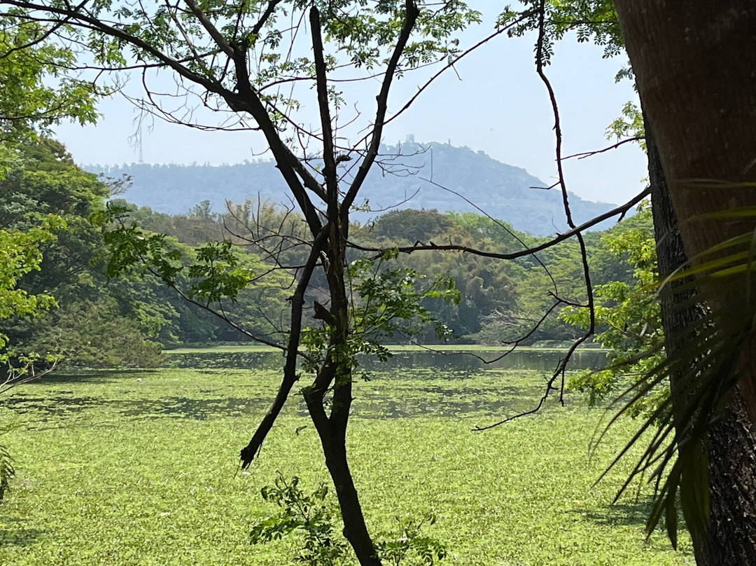 Karanji Lake-迈索尔必去景点