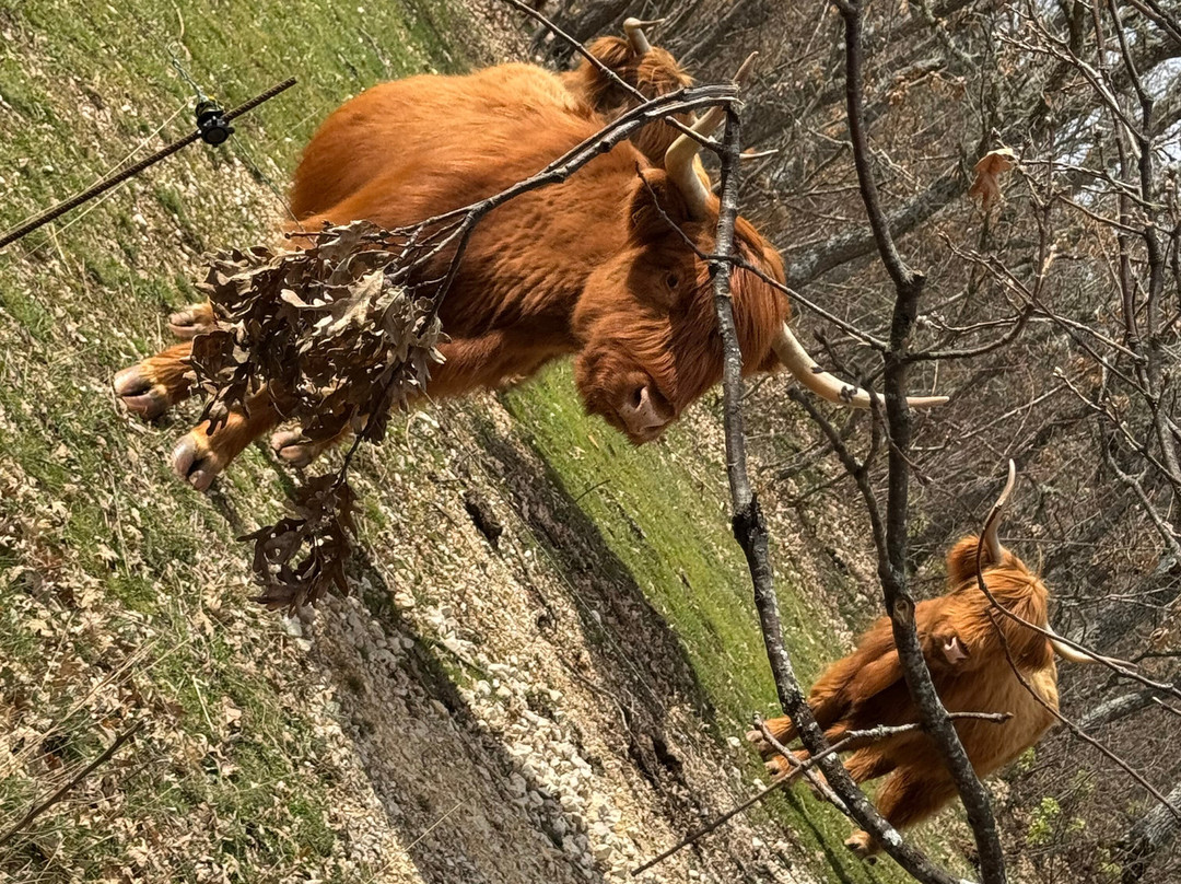 Paleolitico Vivo-布尔戈斯省必去景点