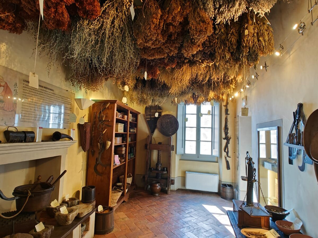 Aboca Museum景点图片