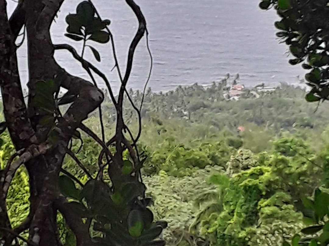 PEG Farm and Nature Reserve-Easy Hall必去景点
