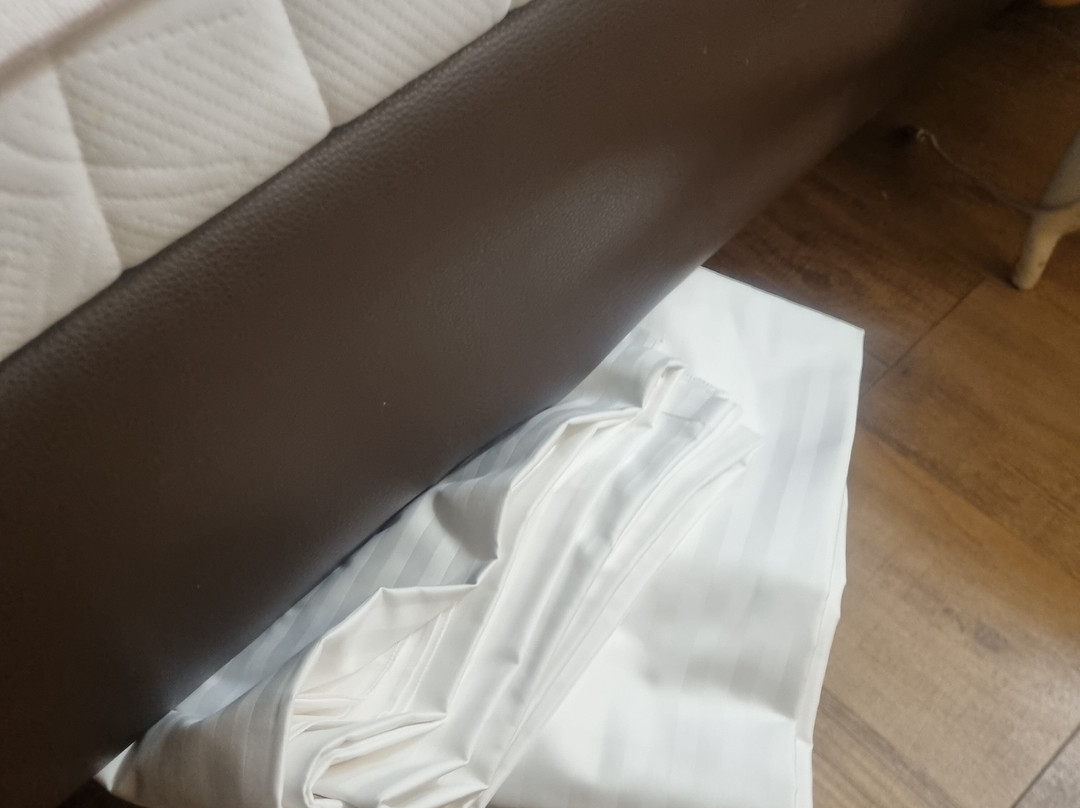 Best Western Zaan Inn主图