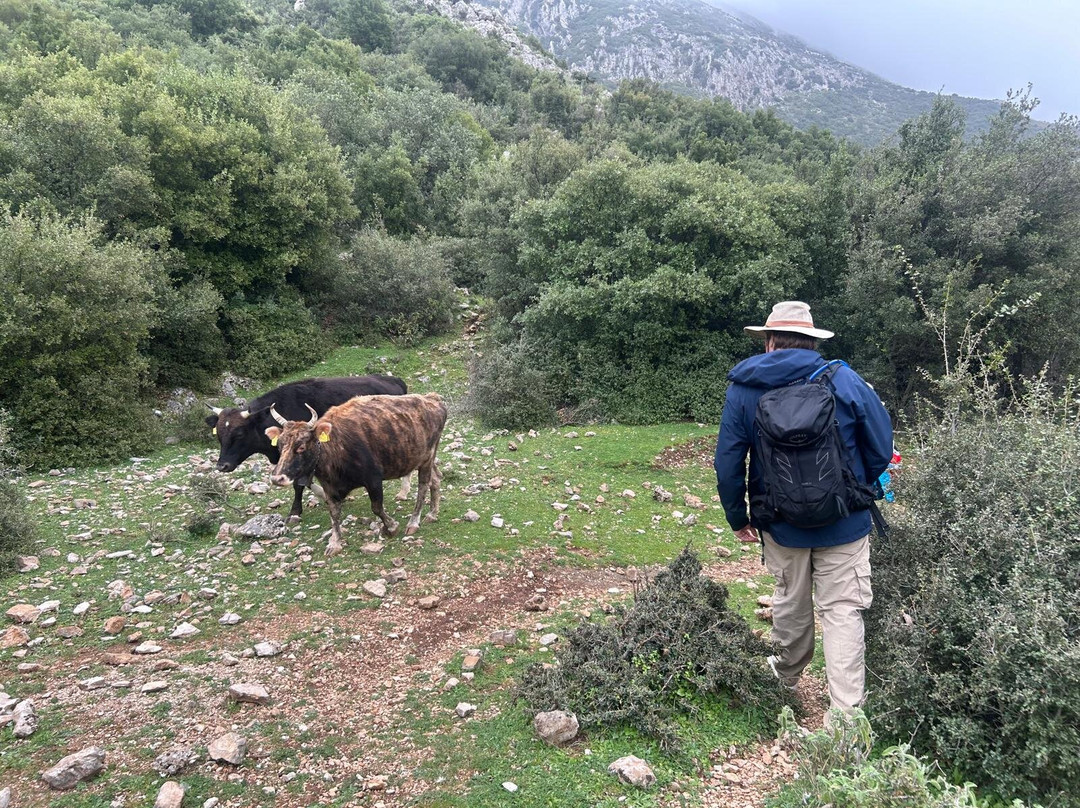 Outdoor Albania-地拉那必去景点