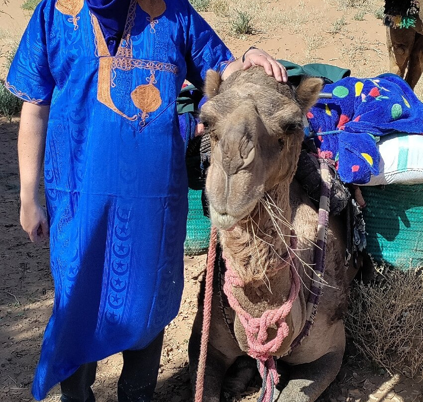 Discover Sahara-扎古拉必去景点