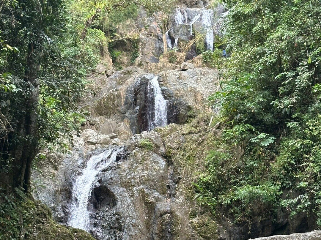 Unique Tours Tobago -Tours-斯卡伯勒必去景点