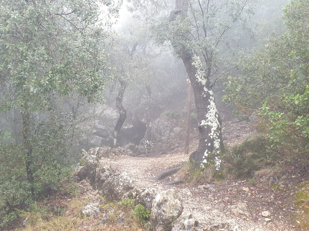 Sierra Del Menejador景点图片