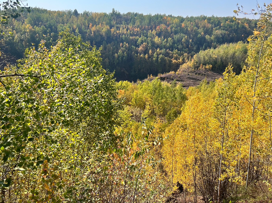 Redhead Mountain Bike Park-Chisholm必去景点