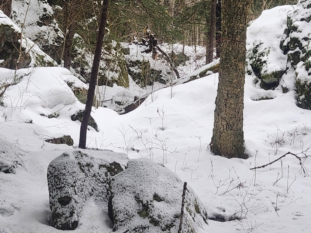 Auger Falls-Wells必去景点