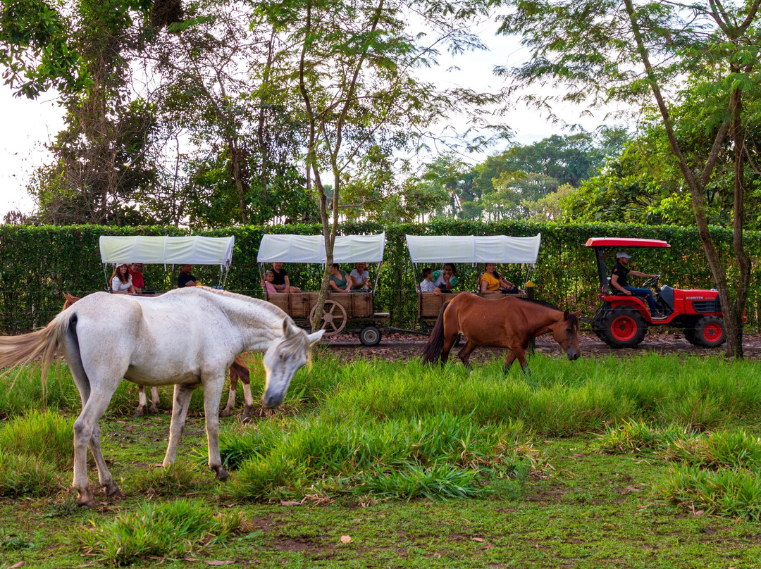 Hotel Campestre La Potra主图