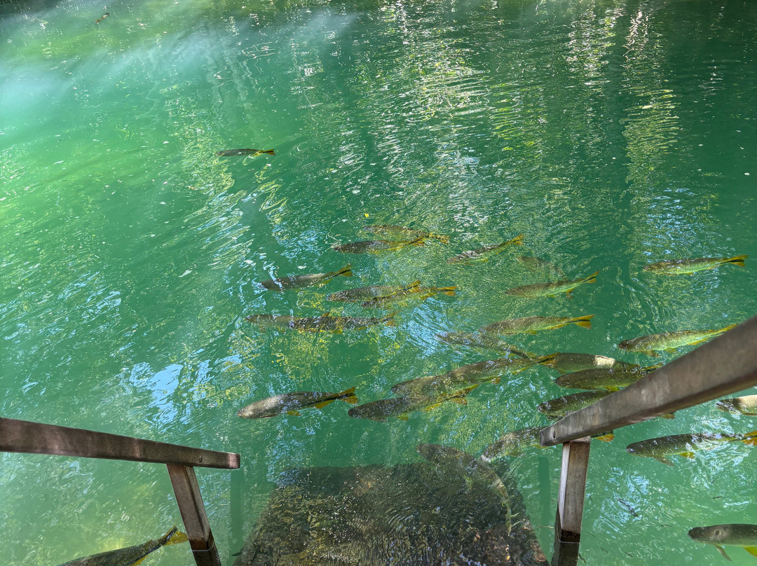 Balneario Municipal-博尼图必去景点