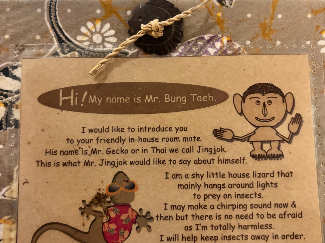 苏梅姚亚伊村主图