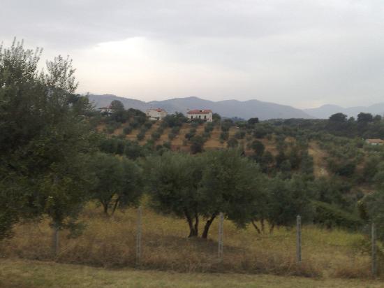 安吉拉宾馆-酒店景观