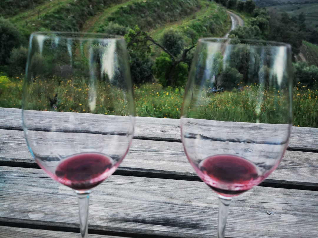 Celler Devinssi景点图片