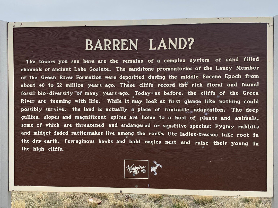 Little Bear Motel主图