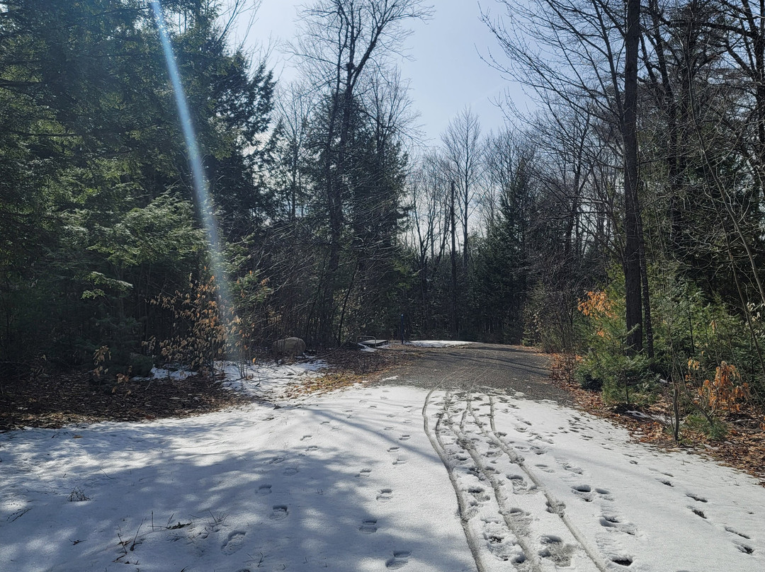 Lincoln Walking Trails景点图片