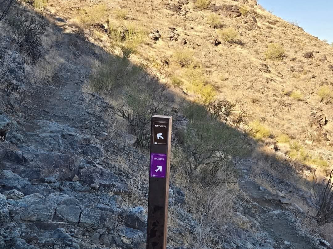 南山公园景点图片