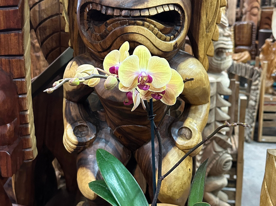 Tikimaster-卡内奥赫必去景点