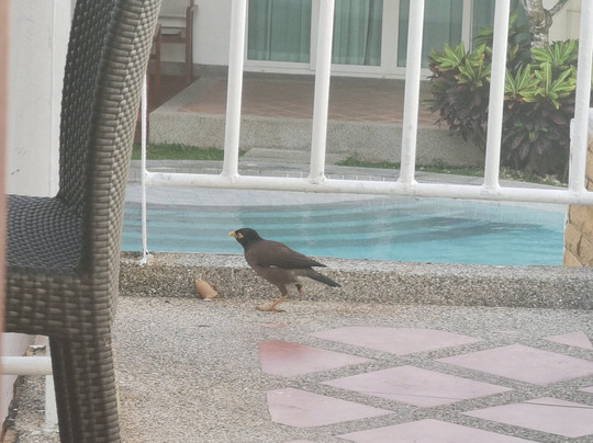 普纳瓦度假酒店主图