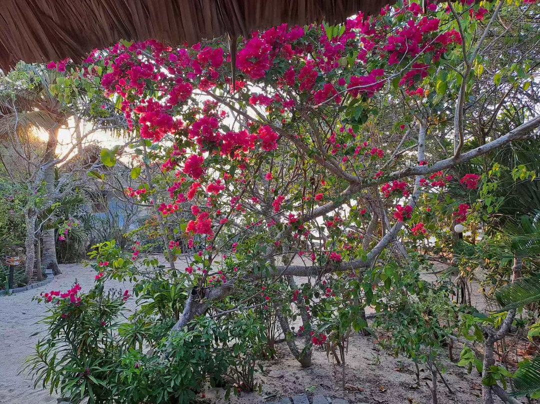 鲸鱼岛度假村主图