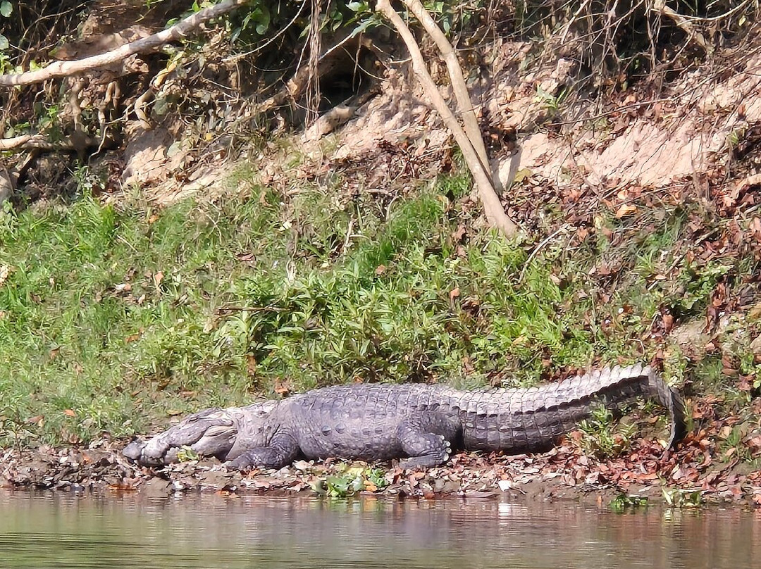 独特野生度假村主图