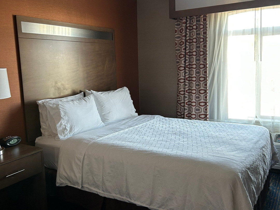 Holiday Inn Express Rocklin - Galleria Area By IHG主图