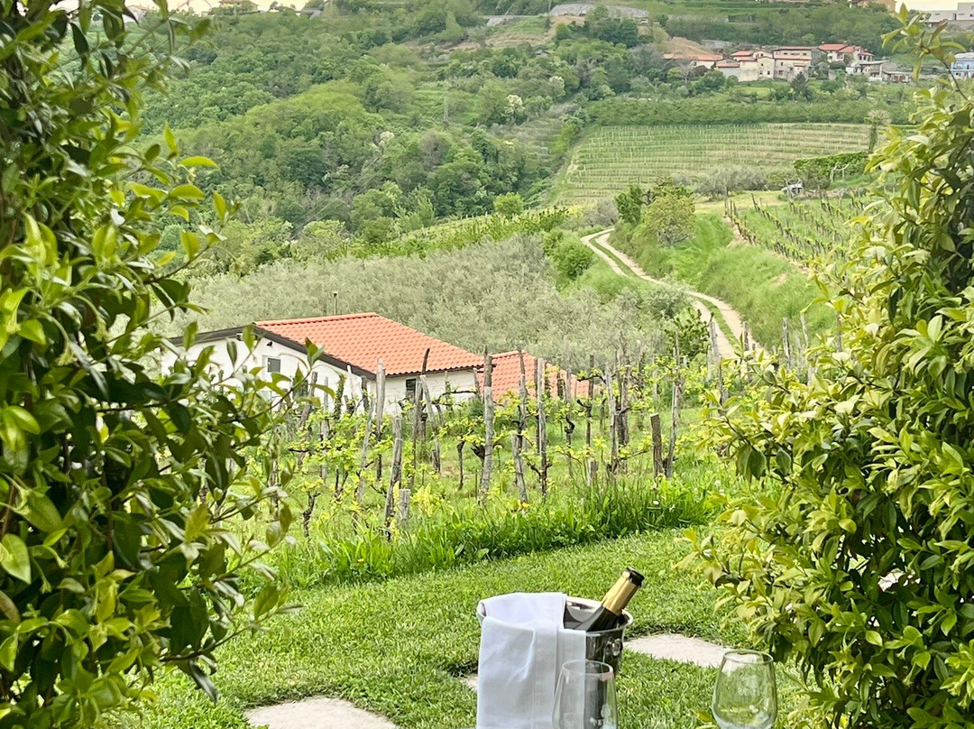 Peterc Vineyard Estate-Kojsko必去景点