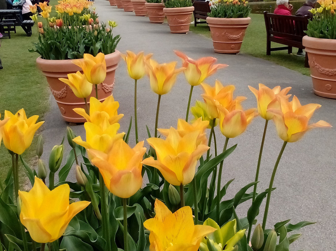 Burnby Hall Gardens and Museum景点图片