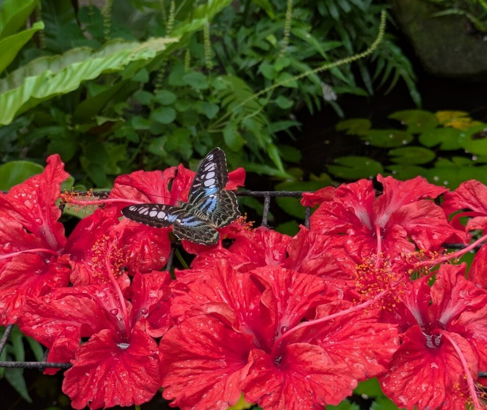 蟲鳴大地-巴巷海滩必去景点