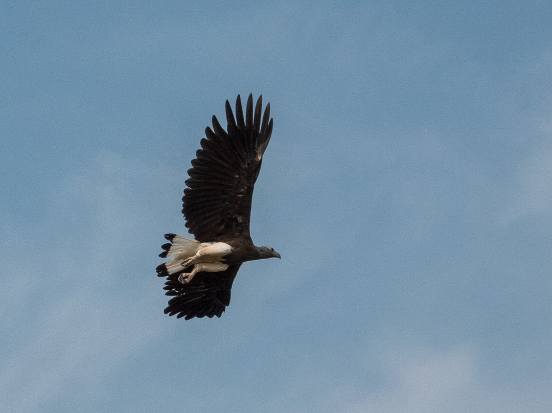 Prek Toal Tours & Travel-暹粒必去景点