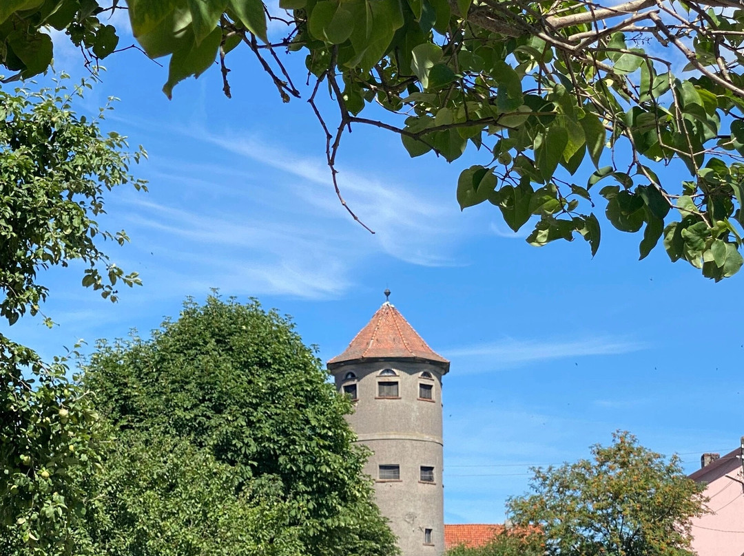Tapiau Water Tower景点图片