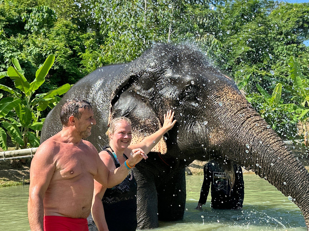 Phuket Elephant Care景点图片
